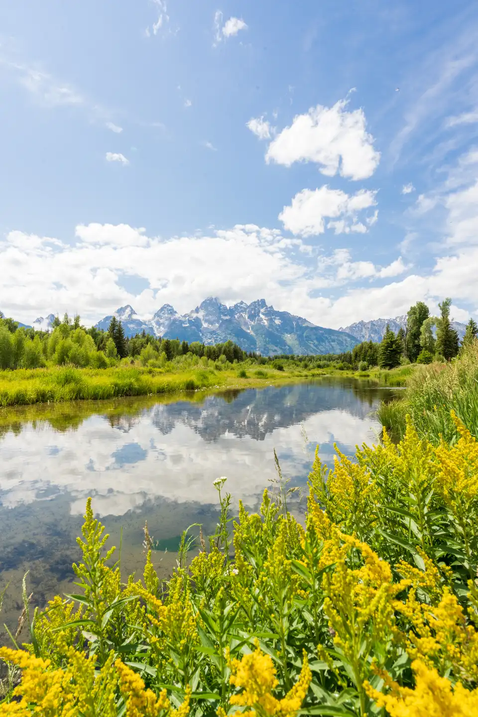 River reflection in a mountain meadow with hills and sky in the distance.